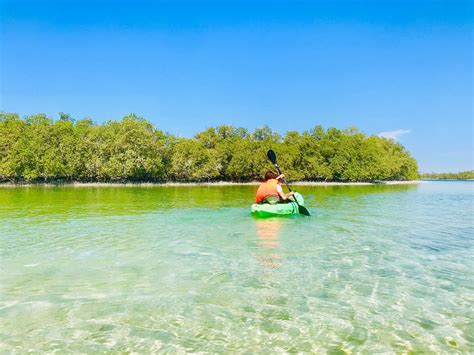 MANGROVE NATIONAL PARK: All You MUST Know Before You .